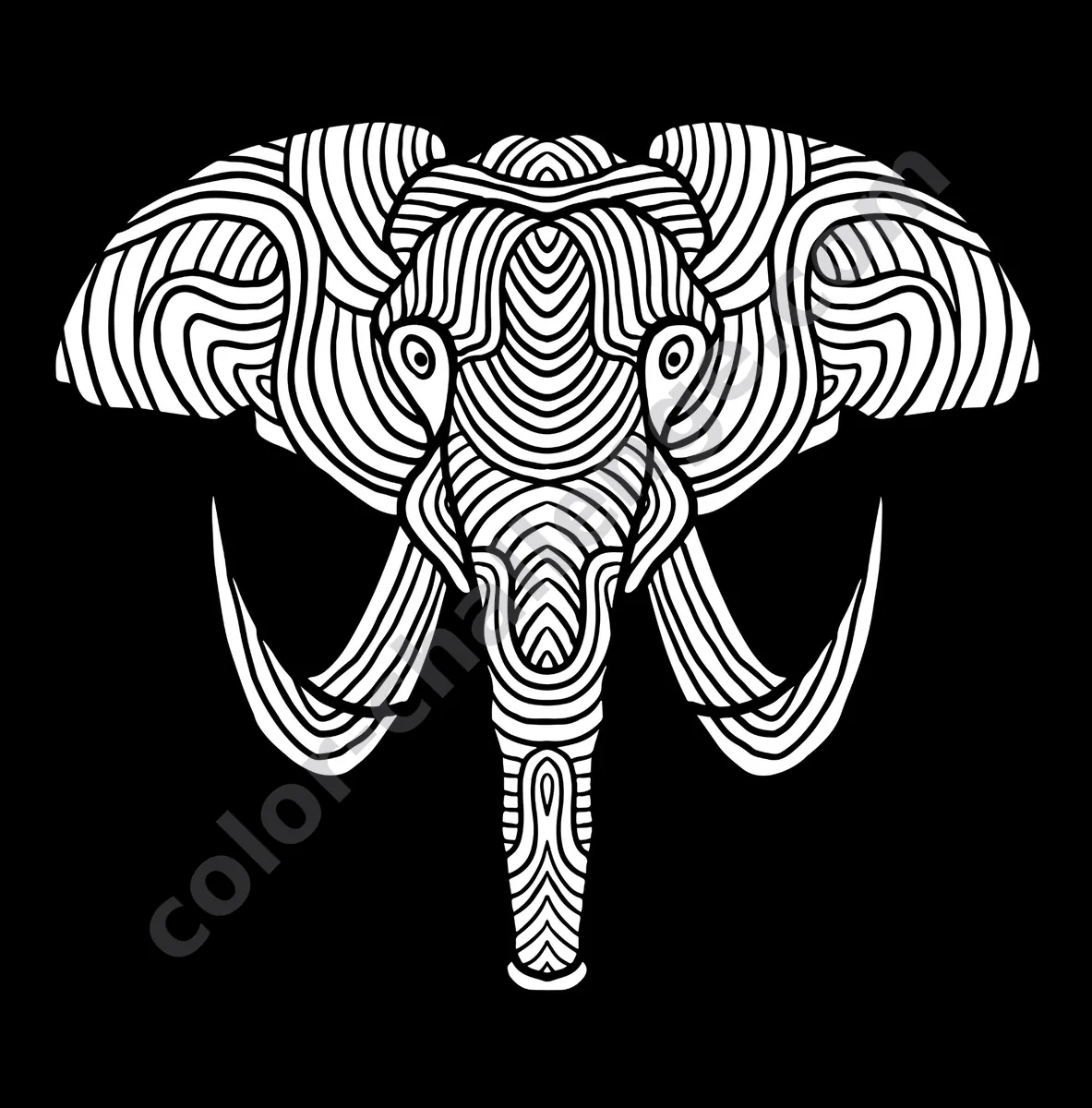 Animals at Night, black background animal coloring book sample page 2
