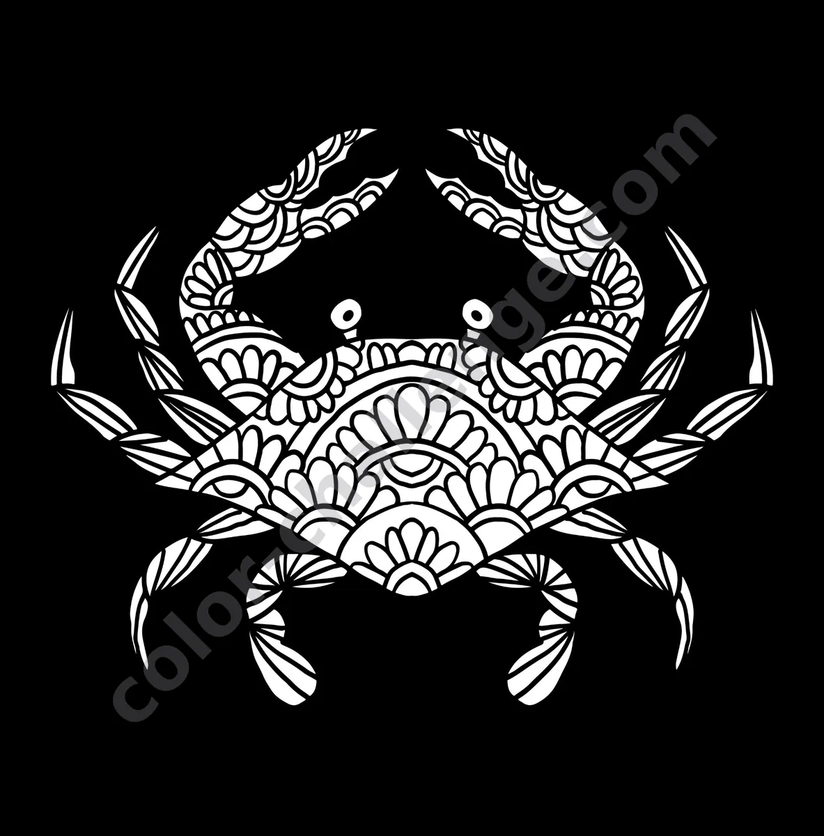 Animals at Night, black background animal coloring book sample page 4