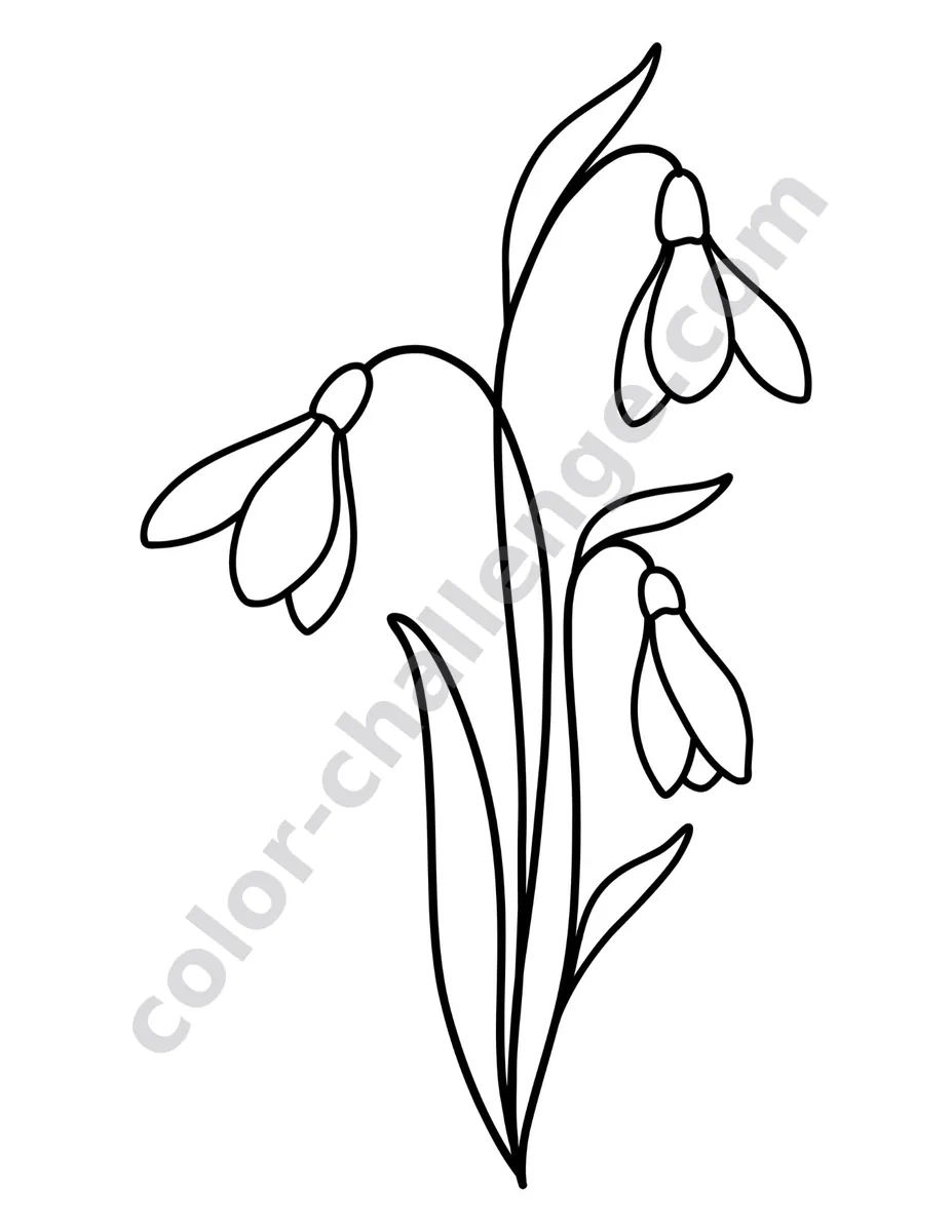 The Easiest Flowers Ever, large print flower coloring book sample page 1