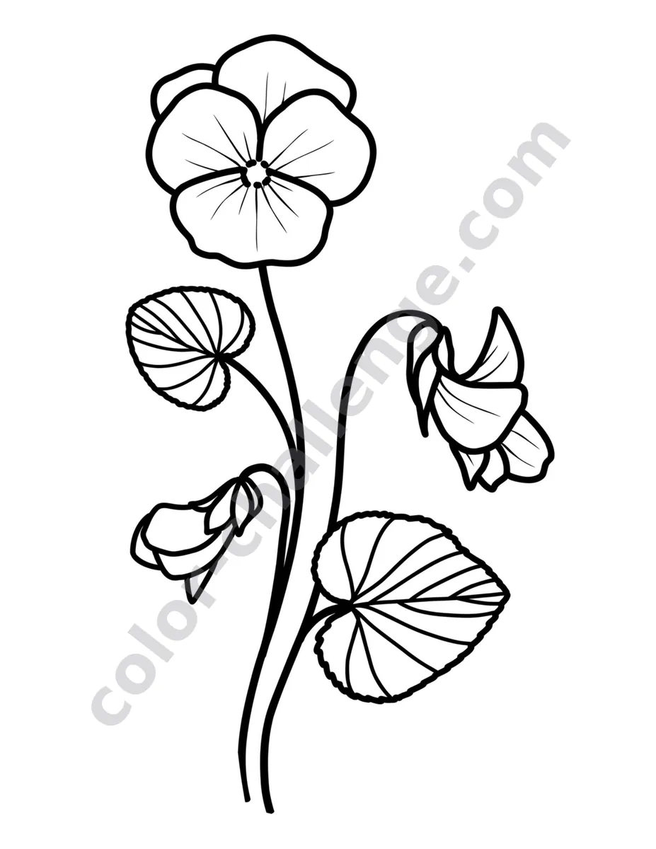 The Easiest Flowers Ever, large print flower coloring book sample page 4