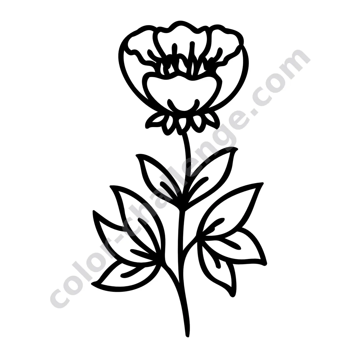 5-Minute Easy Flowers, mini flower coloring book sample page 3