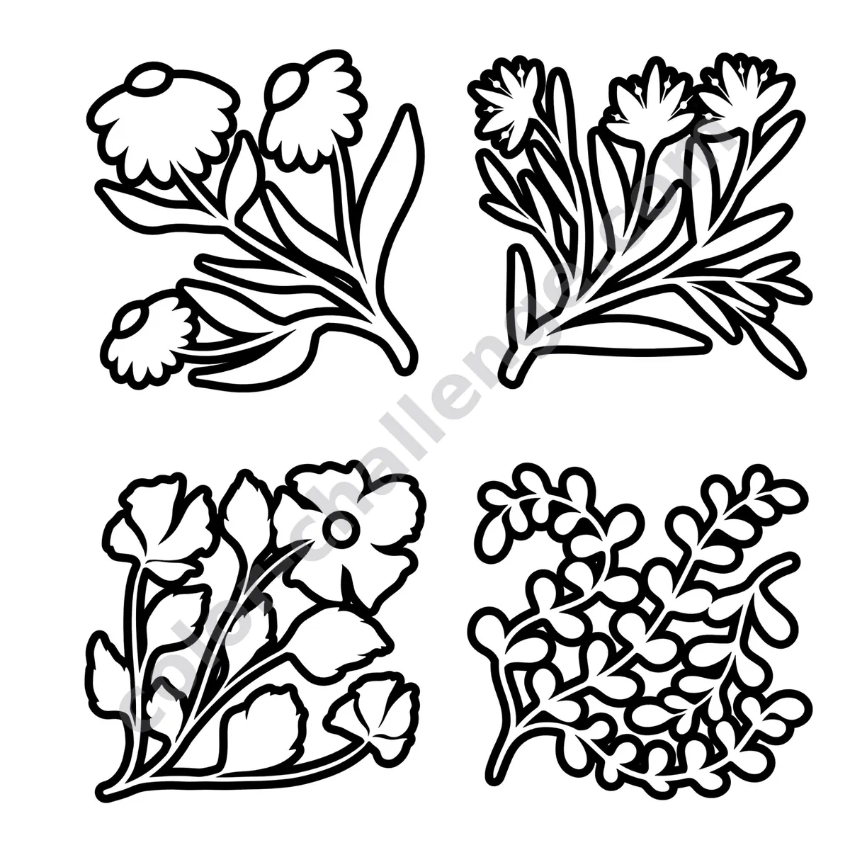 Monochrome Floral Patterns, floral coloring book sample page 4